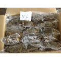 frozen high quality swimming crab
